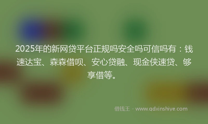 2025年的新网贷平台正规吗安全吗可信吗有：钱速达宝、森森借呗、安心贷融、现金侠速贷、够享借等。