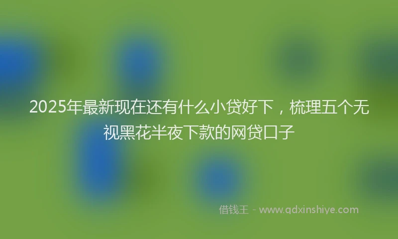 2025年最新现在还有什么小贷好下，梳理五个无视黑花半夜下款的网贷口子