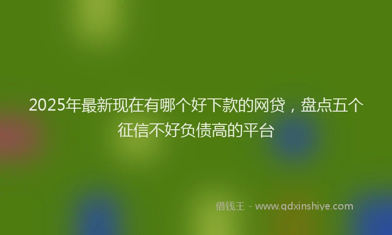 2025年最新现在有哪个好下款的网贷，盘点五个征信不好负债高的平台