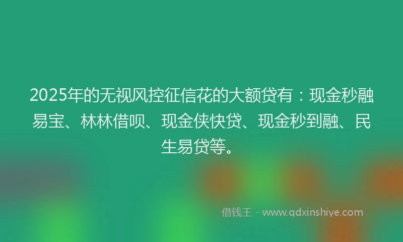 2025年的无视风控征信花的大额贷有：现金秒融易宝、林林借呗、现金侠快贷、现金秒到融、民生易贷等。