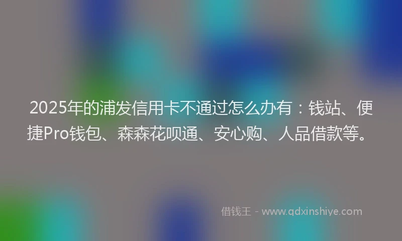 2025年的浦发信用卡不通过怎么办有：钱站、便捷Pro钱包、森森花呗通、安心购、人品借款等。