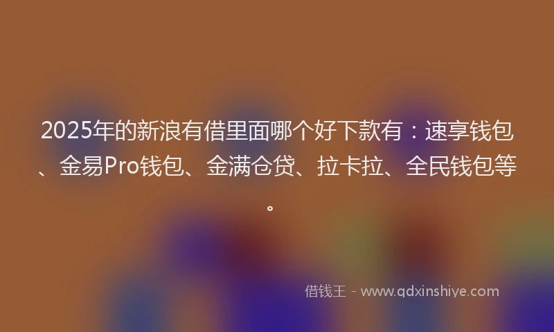 2025年的新浪有借里面哪个好下款有：速享钱包、金易Pro钱包、金满仓贷、拉卡拉、全民钱包等。