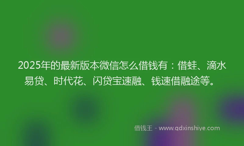 2025年的最新版本微信怎么借钱有：借蛙、滴水易贷、时代花、闪贷宝速融、钱速借融途等。