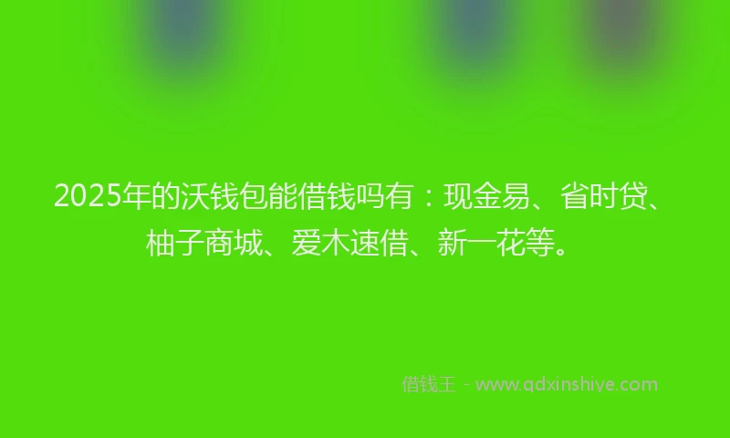 2025年的沃钱包能借钱吗有：现金易、省时贷、柚子商城、爱木速借、新一花等。