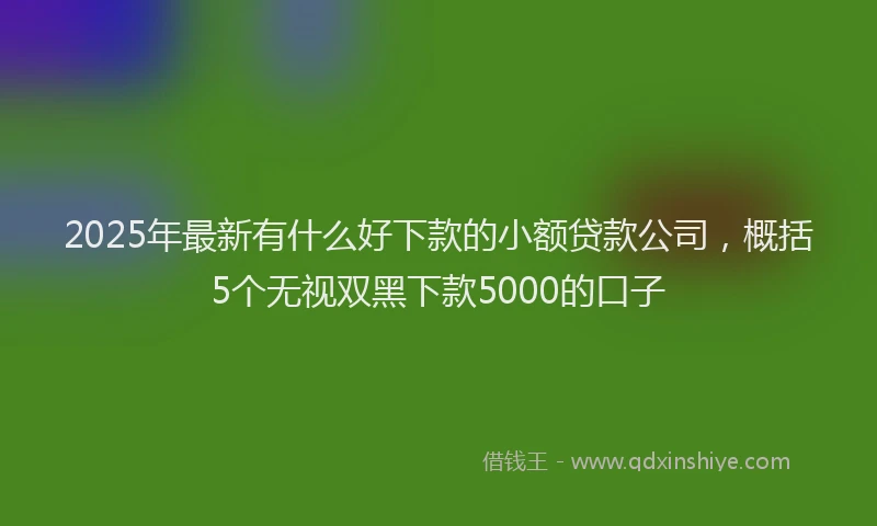 2025年最新有什么好下款的小额贷款公司，概括5个无视双黑下款5000的口子