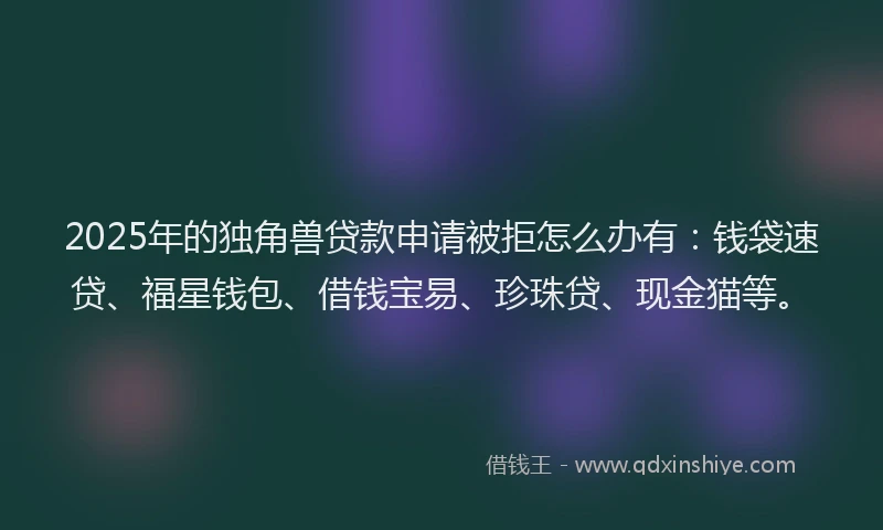 2025年的独角兽贷款申请被拒怎么办有：钱袋速贷、福星钱包、借钱宝易、珍珠贷、现金猫等。