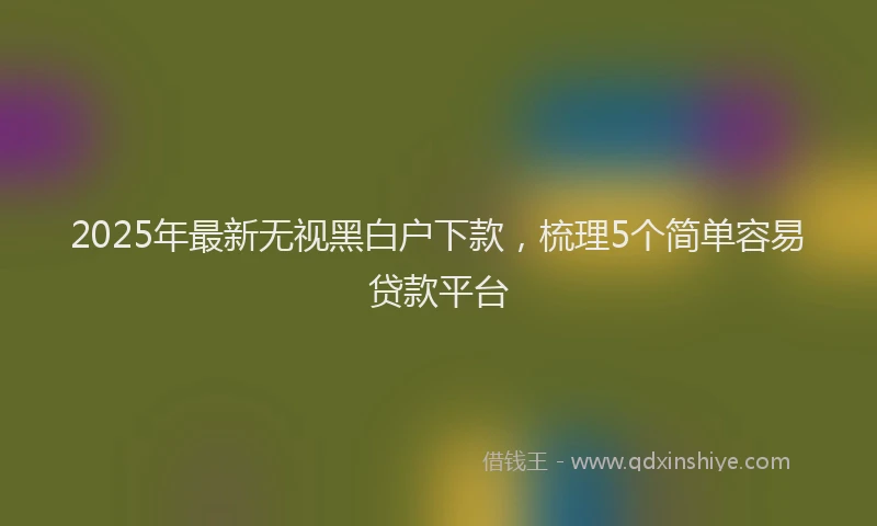 2025年最新无视黑白户下款，梳理5个简单容易贷款平台