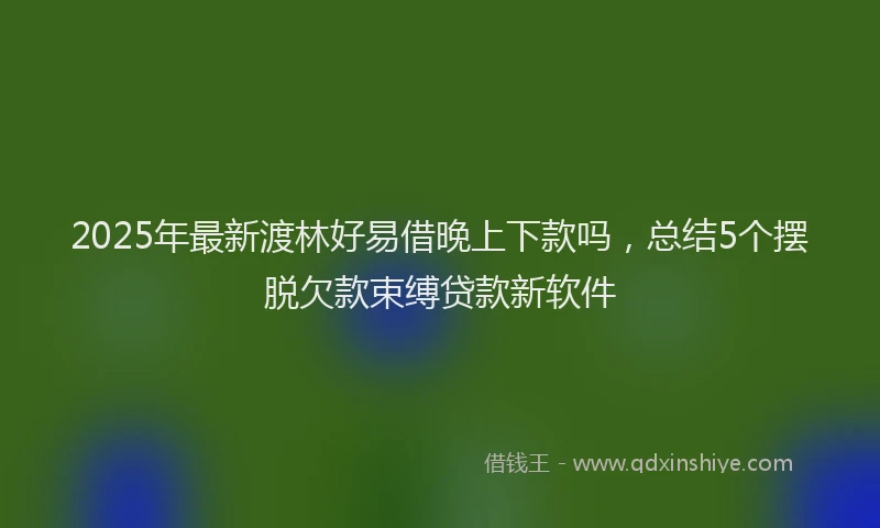 2025年最新渡林好易借晚上下款吗，总结5个摆脱欠款束缚贷款新软件