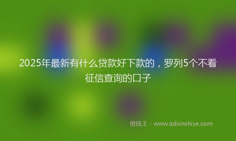2025年最新有什么贷款好下款的，罗列5个不看征信查询的口子