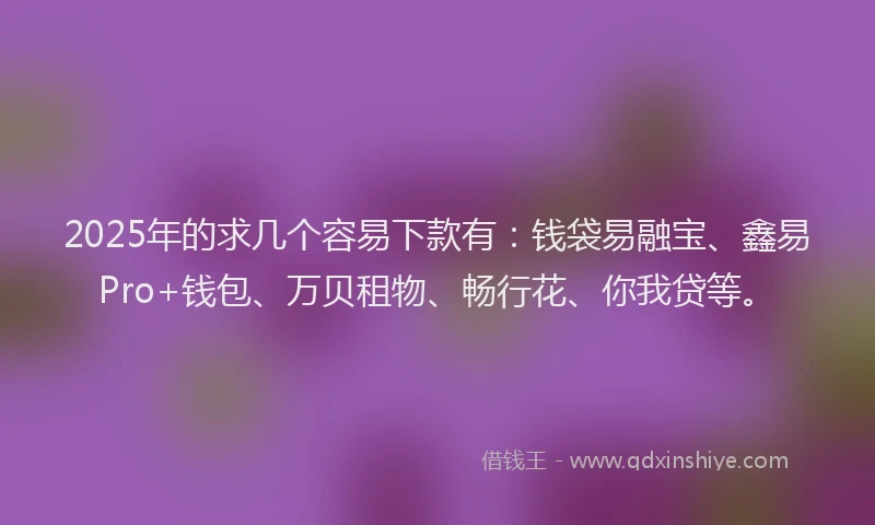 2025年的求几个容易下款有：钱袋易融宝、鑫易Pro+钱包、万贝租物、畅行花、你我贷等。