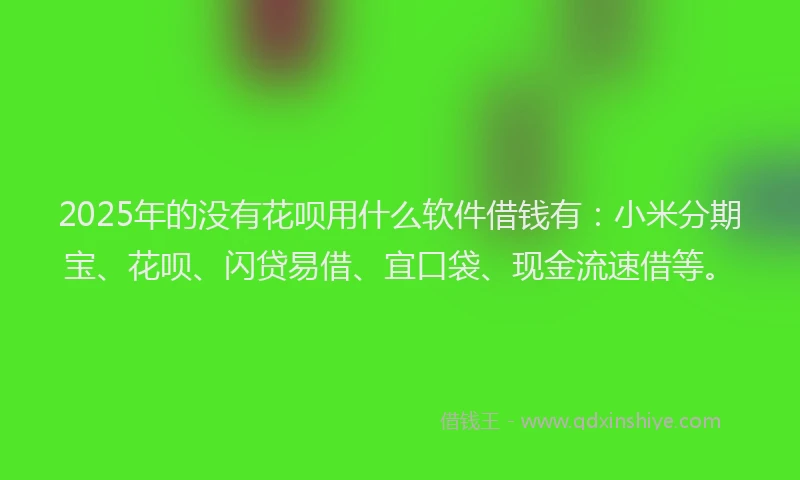 2025年的没有花呗用什么软件借钱有：小米分期宝、花呗、闪贷易借、宜口袋、现金流速借等。