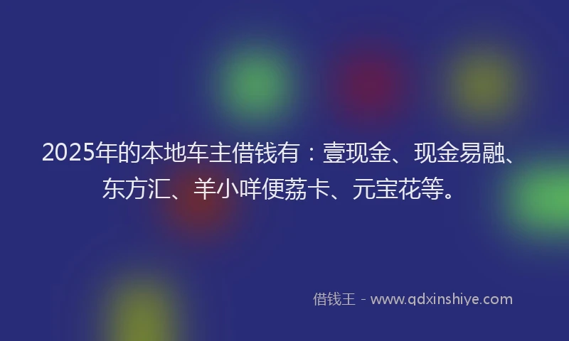 2025年的本地车主借钱有：壹现金、现金易融、东方汇、羊小咩便荔卡、元宝花等。