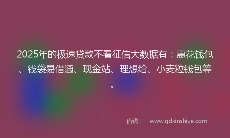 2025年的极速贷款不看征信大数据有：惠花钱包、钱袋易借通、现金站、理想给、小麦粒钱包等。