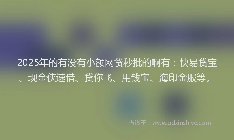 2025年的有没有小额网贷秒批的啊有：快易贷宝、现金侠速借、贷你飞、用钱宝、海印金服等。