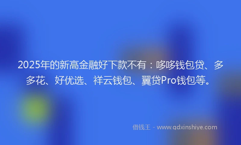 2025年的新高金融好下款不有：哆哆钱包贷、多多花、好优选、祥云钱包、翼贷Pro钱包等。