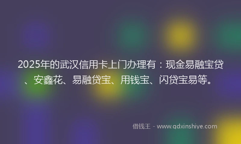 2025年的武汉信用卡上门办理有：现金易融宝贷、安鑫花、易融贷宝、用钱宝、闪贷宝易等。
