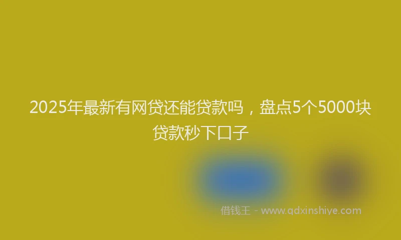 2025年最新有网贷还能贷款吗，盘点5个5000块贷款秒下口子