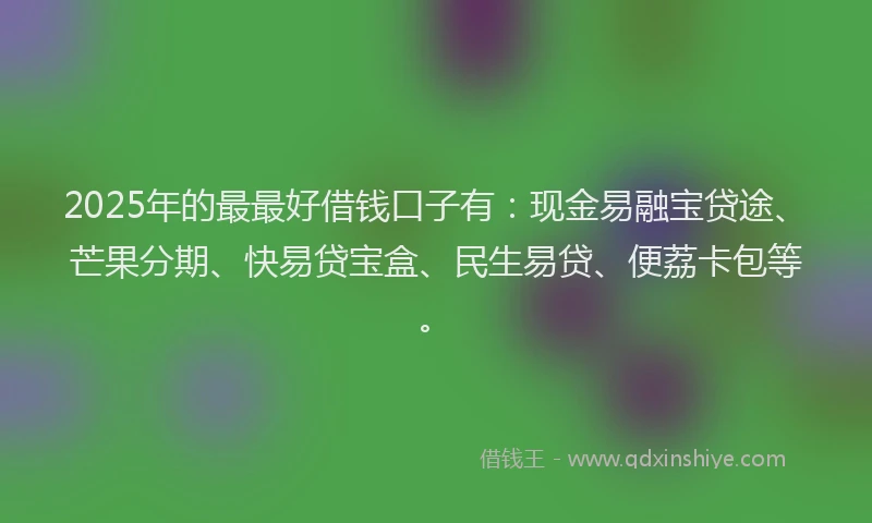 2025年的最最好借钱口子有：现金易融宝贷途、芒果分期、快易贷宝盒、民生易贷、便荔卡包等。