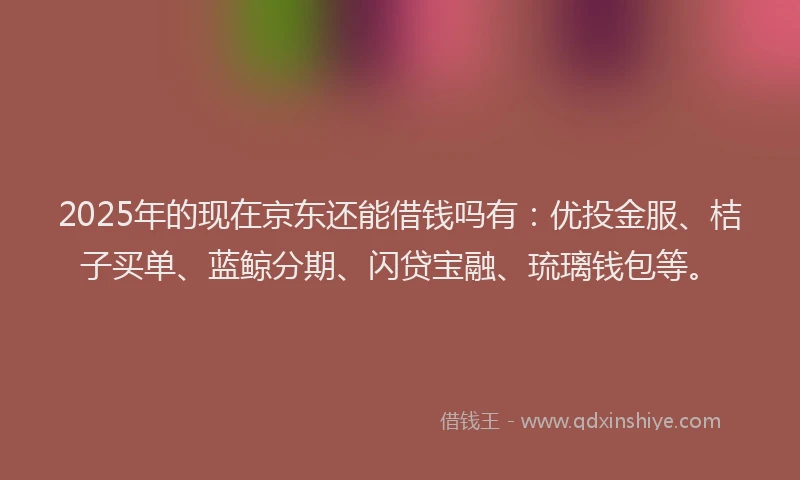 2025年的现在京东还能借钱吗有：优投金服、桔子买单、蓝鲸分期、闪贷宝融、琉璃钱包等。