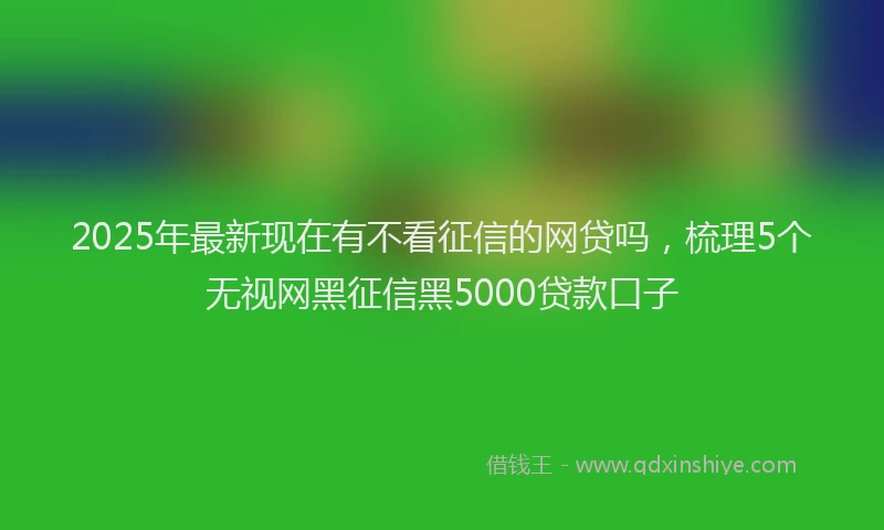 2025年最新现在有不看征信的网贷吗，梳理5个无视网黑征信黑5000贷款口子