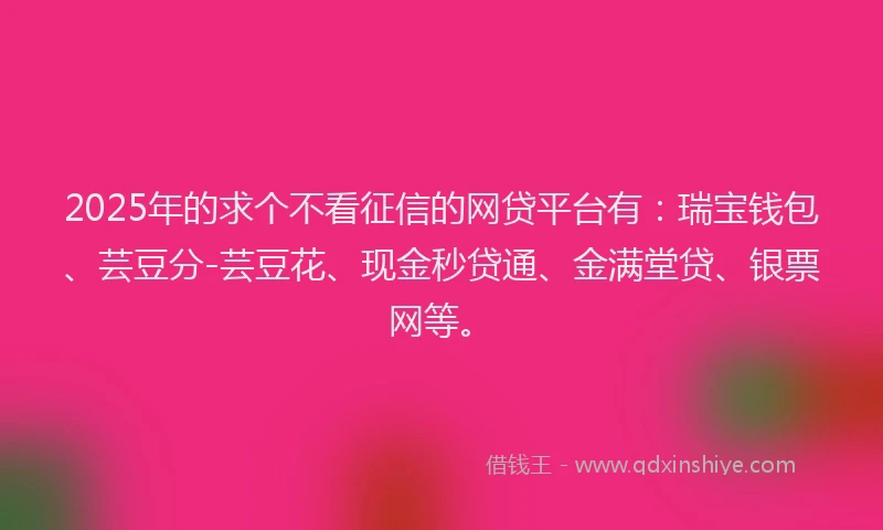 2025年的求个不看征信的网贷平台有：瑞宝钱包、芸豆分-芸豆花、现金秒贷通、金满堂贷、银票网等。
