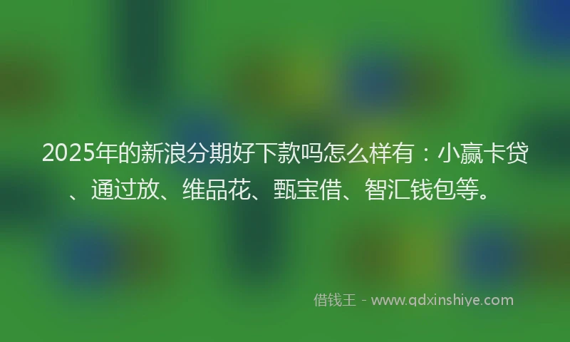 2025年的新浪分期好下款吗怎么样有：小赢卡贷、通过放、维品花、甄宝借、智汇钱包等。