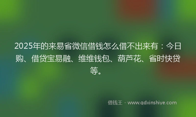 2025年的来易省微信借钱怎么借不出来有：今日购、借贷宝易融、维维钱包、葫芦花、省时快贷等。