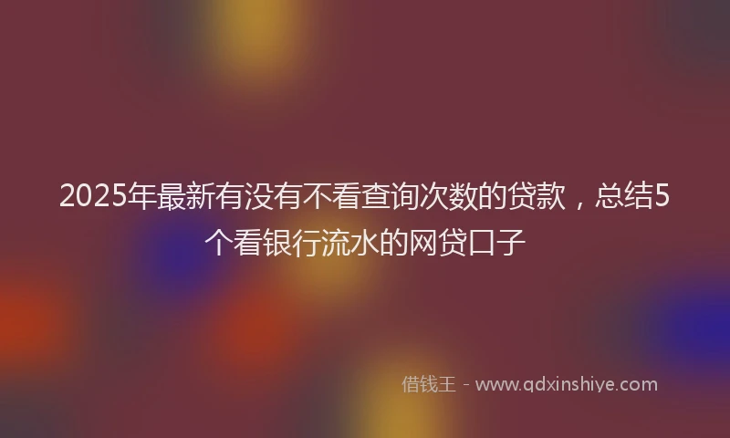2025年最新有没有不看查询次数的贷款，总结5个看银行流水的网贷口子