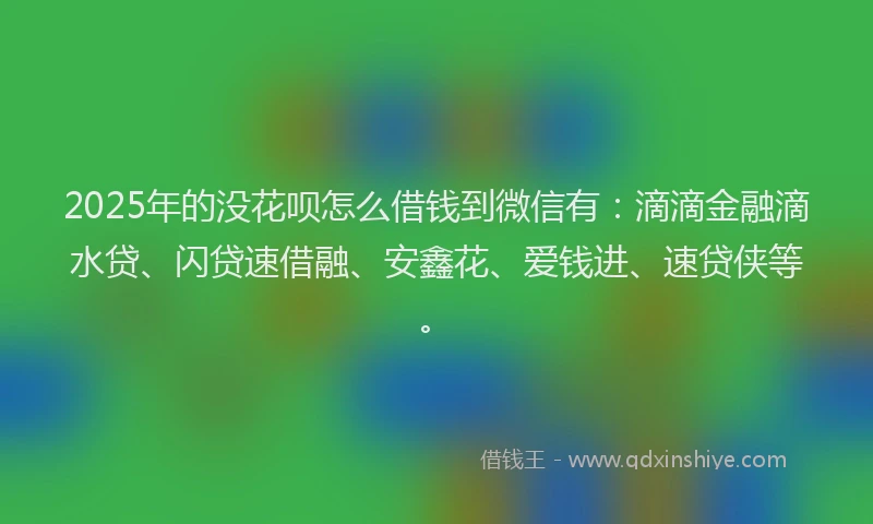 2025年的没花呗怎么借钱到微信有：滴滴金融滴水贷、闪贷速借融、安鑫花、爱钱进、速贷侠等。