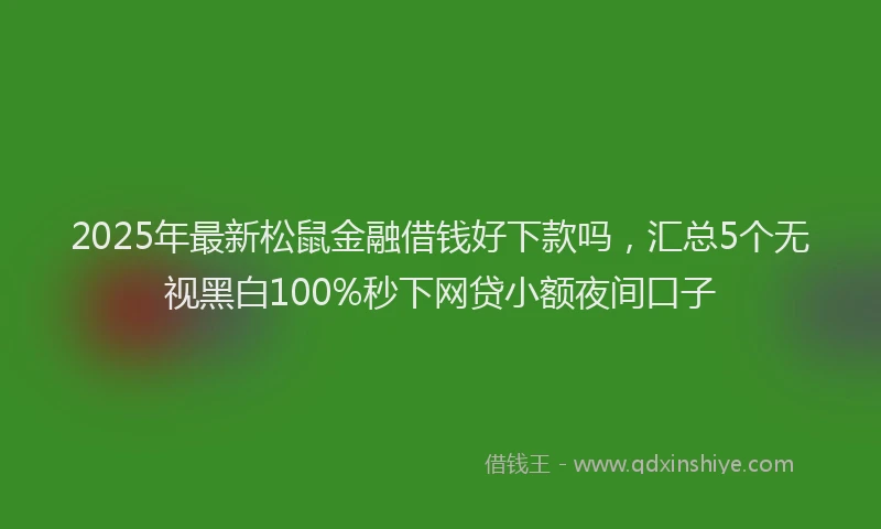 2025年最新松鼠金融借钱好下款吗，汇总5个无视黑白100%秒下网贷小额夜间口子