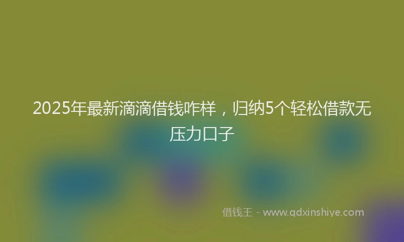 2025年最新滴滴借钱咋样，归纳5个轻松借款无压力口子