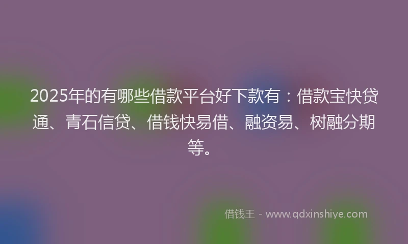 2025年的有哪些借款平台好下款有：借款宝快贷通、青石信贷、借钱快易借、融资易、树融分期等。