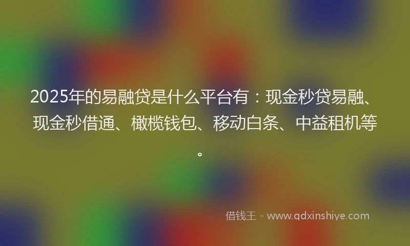 2025年的易融贷是什么平台有：现金秒贷易融、现金秒借通、橄榄钱包、移动白条、中益租机等。