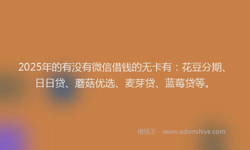 2025年的有没有微信借钱的无卡有：花豆分期、日日贷、蘑菇优选、麦芽贷、蓝莓贷等。