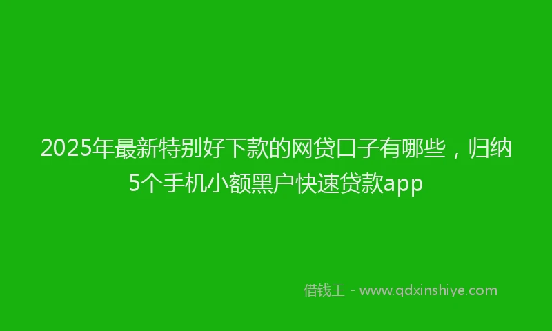 2025年最新特别好下款的网贷口子有哪些，归纳5个手机小额黑户快速贷款app