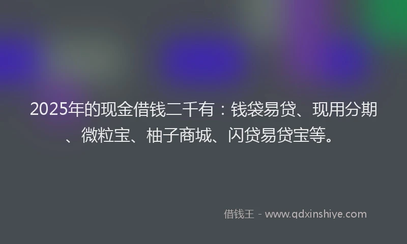 2025年的现金借钱二千有：钱袋易贷、现用分期、微粒宝、柚子商城、闪贷易贷宝等。