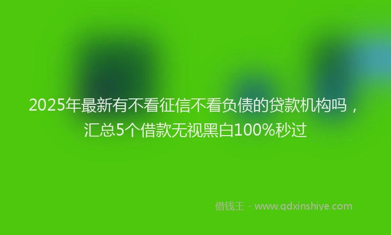 2025年最新有不看征信不看负债的贷款机构吗，汇总5个借款无视黑白100%秒过