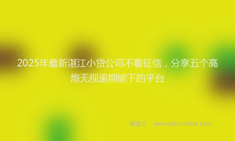 2025年最新湛江小贷公司不看征信，分享五个高炮无视逾期能下的平台