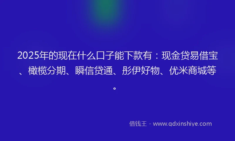 2025年的现在什么口子能下款有：现金贷易借宝、橄榄分期、瞬信贷通、彤伊好物、优米商城等。