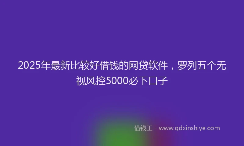 2025年最新比较好借钱的网贷软件，罗列五个无视风控5000必下口子