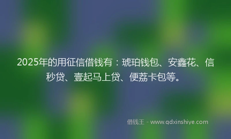 2025年的用征信借钱有：琥珀钱包、安鑫花、信秒贷、壹起马上贷、便荔卡包等。