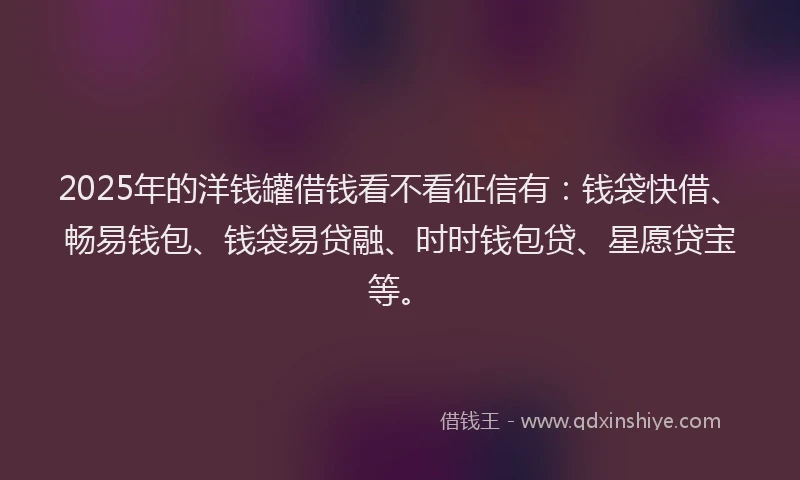 2025年的洋钱罐借钱看不看征信有：钱袋快借、畅易钱包、钱袋易贷融、时时钱包贷、星愿贷宝等。