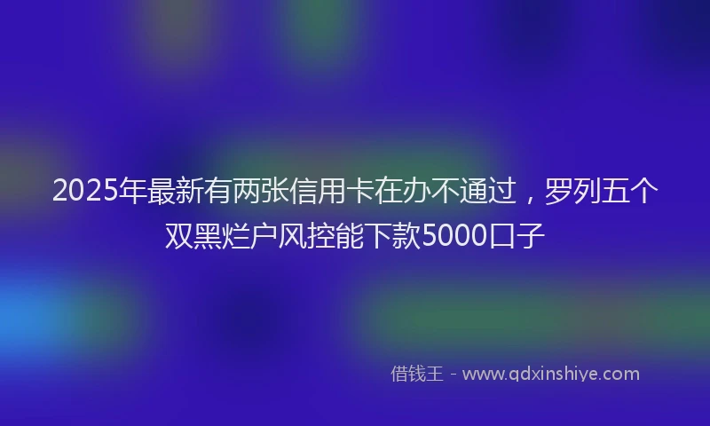 2025年最新有两张信用卡在办不通过，罗列五个双黑烂户风控能下款5000口子