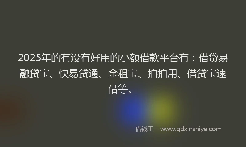 2025年的有没有好用的小额借款平台有：借贷易融贷宝、快易贷通、金租宝、拍拍用、借贷宝速借等。