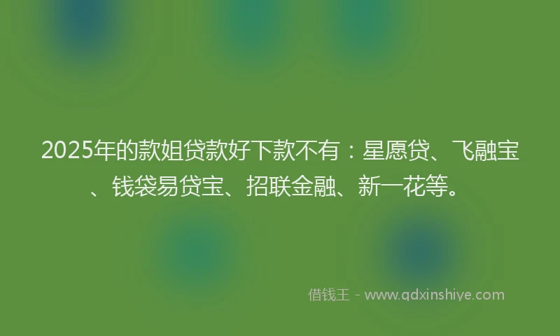 2025年的款姐贷款好下款不有：星愿贷、飞融宝、钱袋易贷宝、招联金融、新一花等。