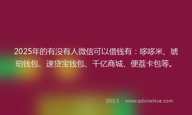 2025年的有没有人微信可以借钱有：哆哆米、琥珀钱包、速贷宝钱包、千亿商城、便荔卡包等。