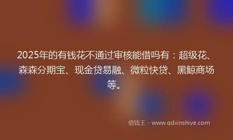 2025年的有钱花不通过审核能借吗有：超级花、森森分期宝、现金贷易融、微粒快贷、黑鲸商场等。