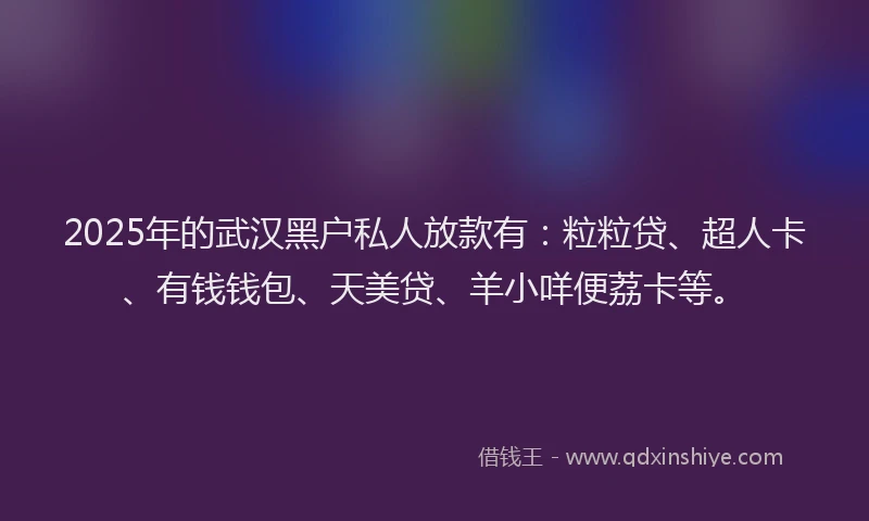 2025年的武汉黑户私人放款有：粒粒贷、超人卡、有钱钱包、天美贷、羊小咩便荔卡等。