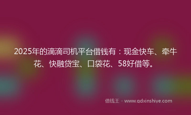 2025年的滴滴司机平台借钱有：现金快车、牵牛花、快融贷宝、口袋花、58好借等。