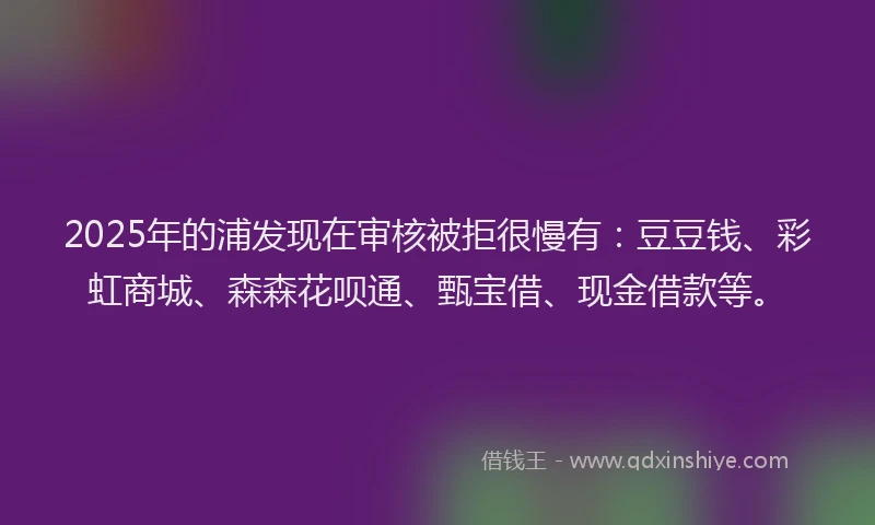 2025年的浦发现在审核被拒很慢有：豆豆钱、彩虹商城、森森花呗通、甄宝借、现金借款等。